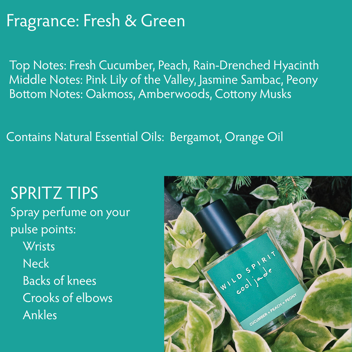 Cool Jade: Top Notes: Fresh Cucumber, Peach, Rain-Drenched Hyacinth  Middle Notes: Pink Lily of the Valley, Jasmine Sambac, Peony  Bottom Notes: Oakmoss, Amberwoods, Cottony Musks