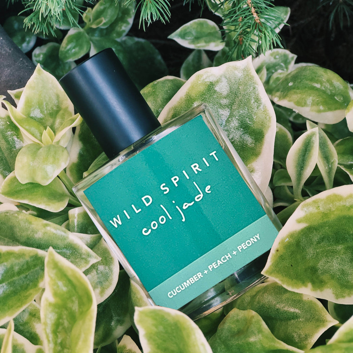 Cool Jade perfume: The scent of sunshine and summer with notes of cool cucumber, Georgia peach, and luscious peony petals.